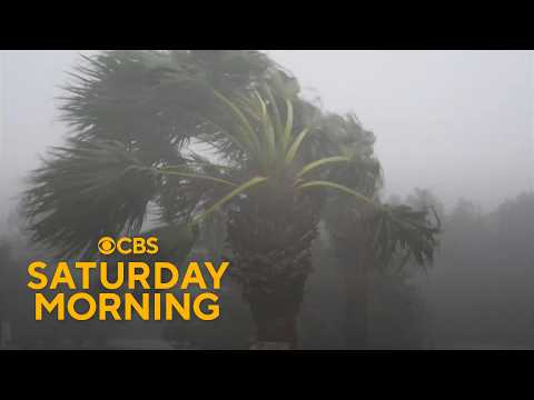 Isaias lashes Gulf Coast with powerful wind and rain