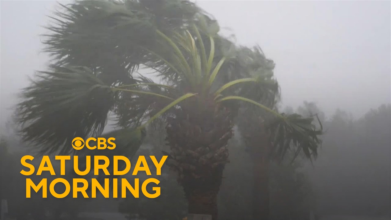 Isaias lashes Gulf Coast with powerful wind and rain
