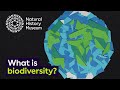 What is biodiversity?