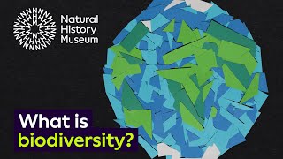 What is biodiversity?