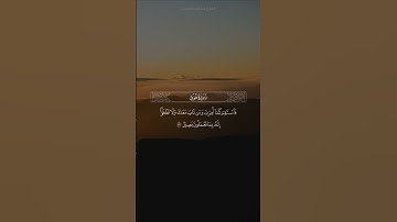 آيات من سورة هود.  -  القارئ عبدالله موسى