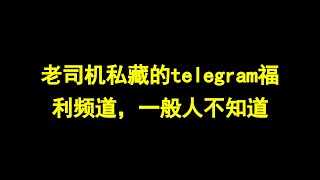 老司机私藏的telegram福利频道，一般人不知道