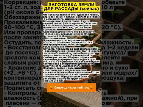 Заготовка земли для рассады. Пошаговый план. #огород #садоводство