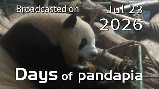 20260723 Broadcast Top Highlights 07