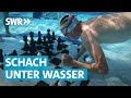 Ein Luftzug, ein Schachzug: die erste deutsche Meisterschaft im Tauch-Schach