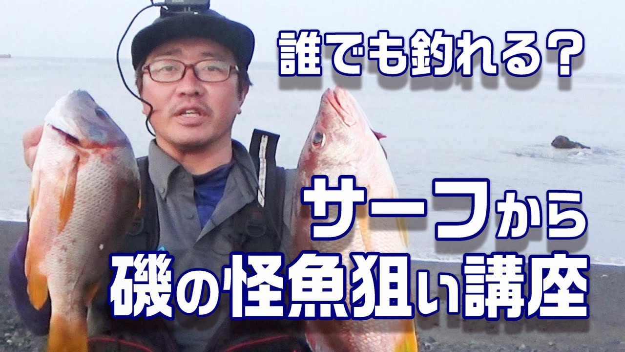 フエダイ、コロダイ、シブダイ釣り講座！サーフからでも狙える高級魚を狙う！　【魚神の釣りいかれへんわ】