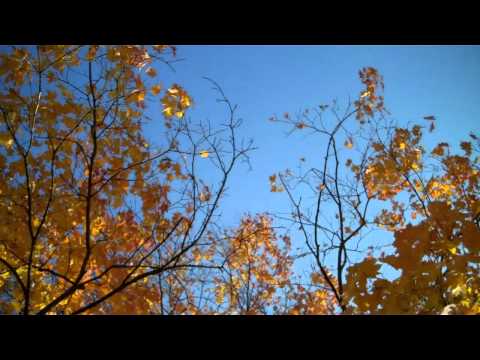 AUTUMN - original instrumental by Adrienne Frailey...