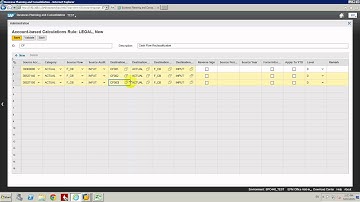 BPC10.1 Consolidation - 9. Set Up Cash Flow Reclassification