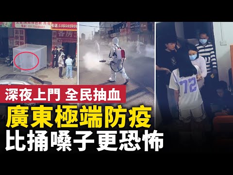 熬過三年核酸，又要排隊抽血！「基孔肯雅熱」中國史上最大規模爆發！