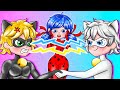 Will ladybug choose catnoir or cat blanc              annie korea