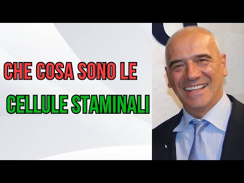 Video: Le cellule staminali mesenchimali sono pluripotenti o multipotenti?