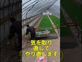 葉切り失敗編 #ずんだもん #農業