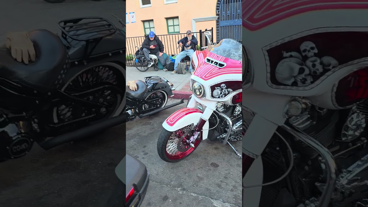 Christmas party escort ready. 