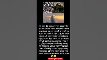 আমিন #عبدالرحمن_مسعد #عبدالرحمن_مسعد_تلاوة_جديدة #islamicvideo