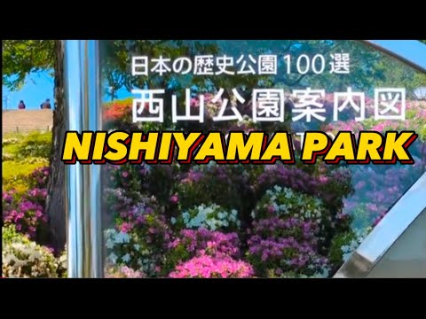 NISHIYAMA PARK (JAPAN )AZALEA II TSUTSUJI