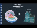 Cell Structures and House Analogies: Unraveling the Functions of Cell Argonauts