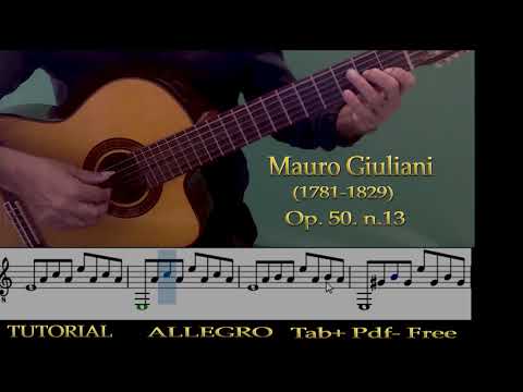 Mauro Giuliani Op50 N13 Tutorial+Tab+Pdf+Free.