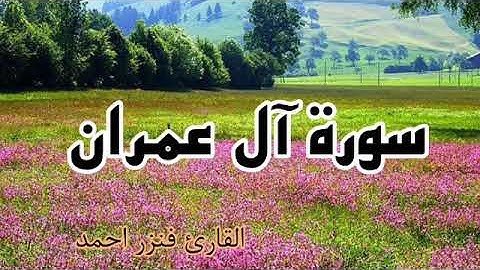 اوائل سورة آل عمران💚 تلاوة هادئة 🎧