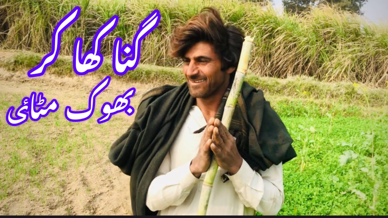 Ghanna khaa kar bhook mitai💪🫢🤗👏گنا کھا کر بھوک مٹائ 