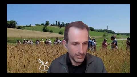 PrAEctiCe joint DST webinar with CIRAWA, CANALLS, and NATAE