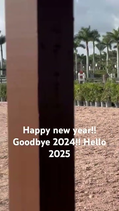 Happy New Year From King Meatball And I Meatball Was Perfect For The happy-new-year-from-king-meatball-and-i-meatball-was-perfect-for-the