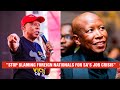 STOP BLAMING FOREIGN NATIONALS FOR SOUTH AFRICA S JOB CRISIS MALEMA MAY 2026 