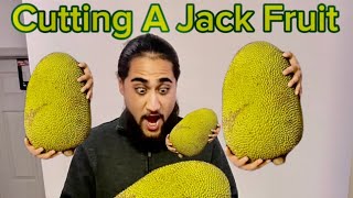 Cutting A Jackfruit Tutorial Jackfruit Vegan Exoticfruit Fruit Plantbased healthy Food eat
