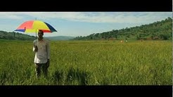 Gaël Faye - Petit Pays