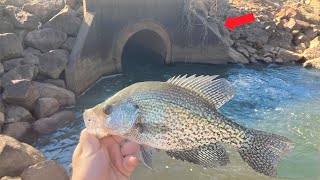 Crappie were THICK in This Spillway!! **Crappie Fishing**
