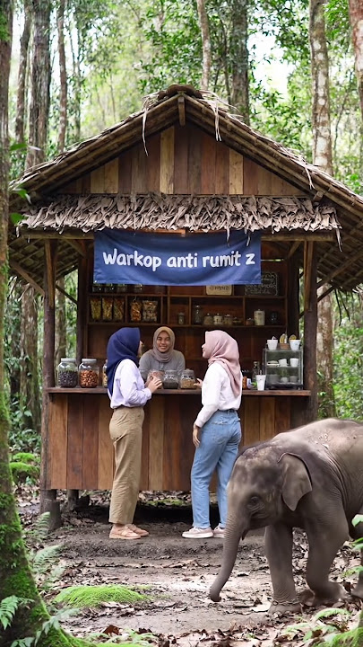betapa syahdu warung kopi di hutan yang masih asri #warungkopi #warkop #pemandangan #relaxing