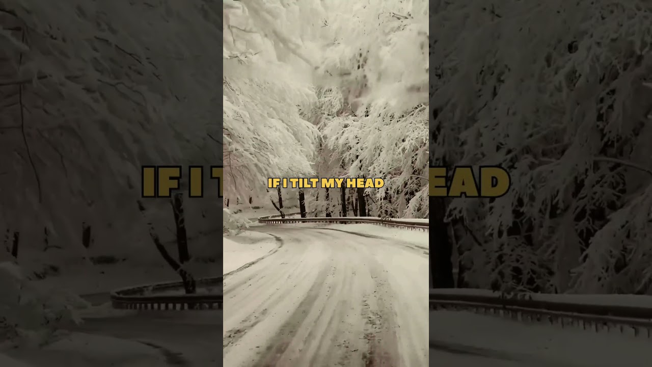 Discovering Beauty in Perspective: Finding Positivity in Every Moment  