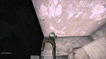 dayz drinking water bug