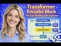 What Actually Happens Inside a Transformer Encoder?
