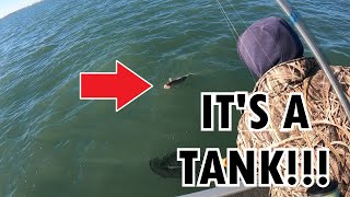 TANK WALLEYE Jigging on the Detroit River - Detroit River Fishing