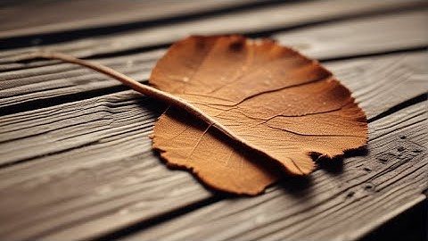 This Stander Wonder TV Tray makes me feel...