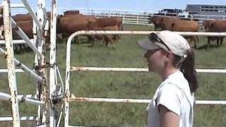 MCC Agriculture Programs