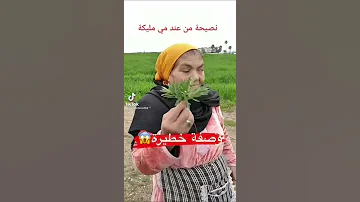 فوائد الشندكورة 