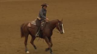 161030 Kim Shertzer on Fun Time Hobby Green