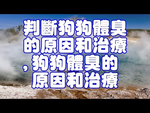 判斷狗狗體臭的原因和治療,狗狗體臭的原因和治療
