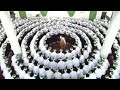 جودو بالوصال حضره صوفيه جلاله ذكر خفي لقد اتيت الحمى بذل كيف العمل يا احمد رأيت ظبيا جودو بالوصال حضره صوفيه جلاله ذكر خفي لقد اتيت الحمى بذل كيف العمل يا احمد رأيت ظبيا