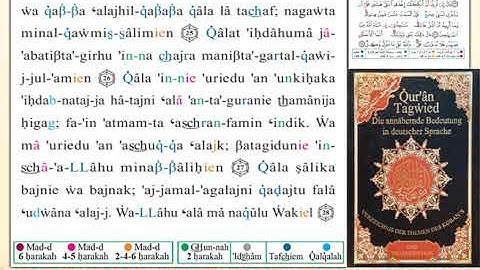 ختمة من مصحف التجويد باللغة الألمانية الصفحة رقم 388