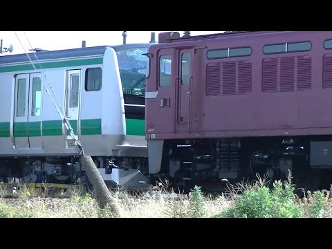 宮ハエ117編成　埼京線新型車両　E233-7000番台　EF81 141牽引　配給輸送　配給列車