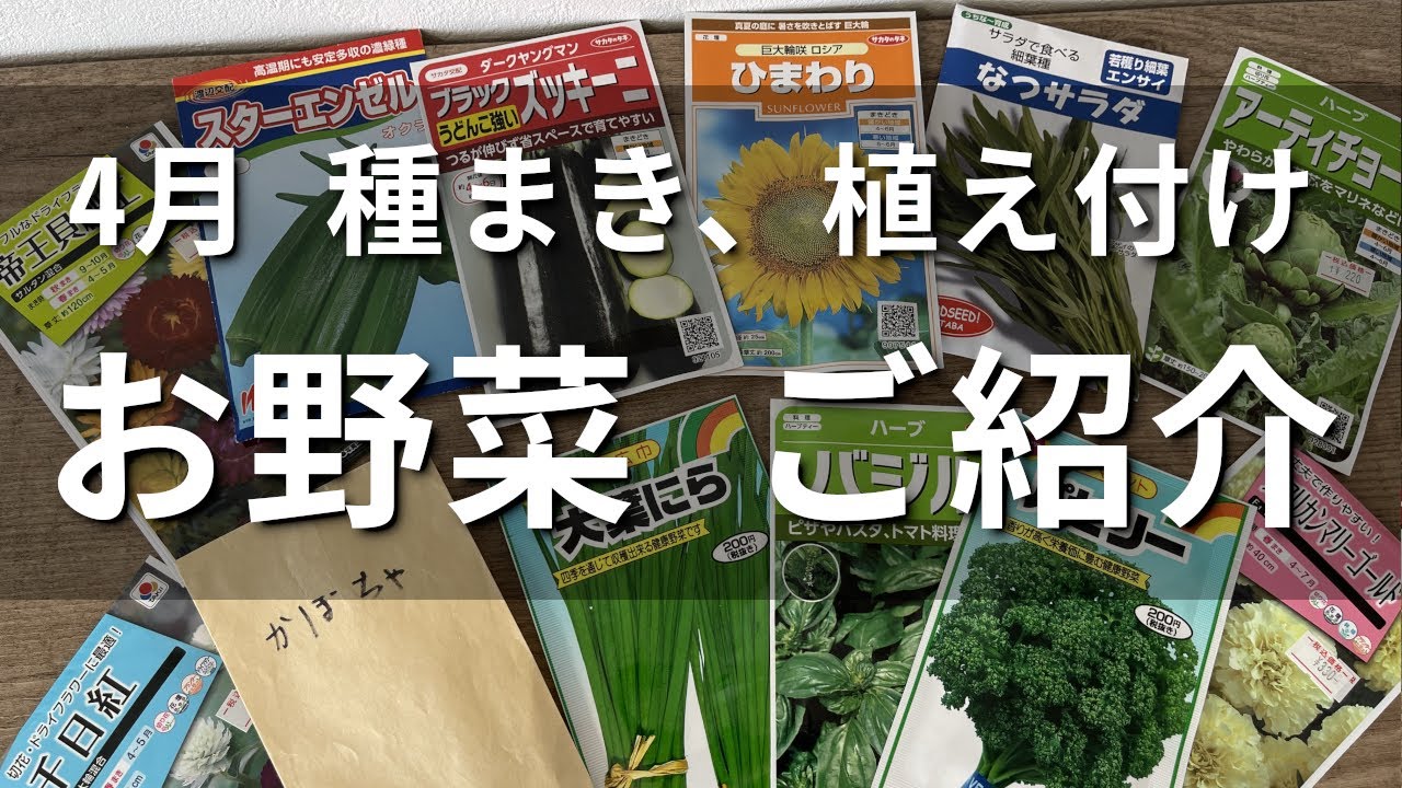 4月種まき品種ご紹介 21年04月05日 012 家庭菜園 野菜栽培 ガーデニング 4月種まき オクラ ズッキーニ 里芋 生姜 空芯菜 ひまわり カボチャ ニラ Youtube