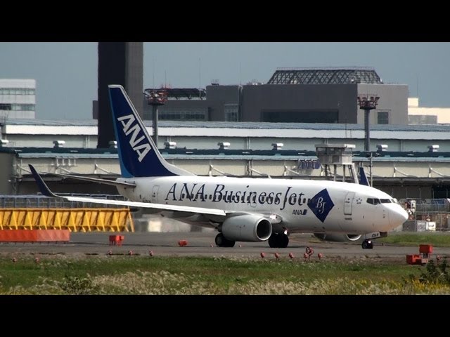 ANA Business Jet