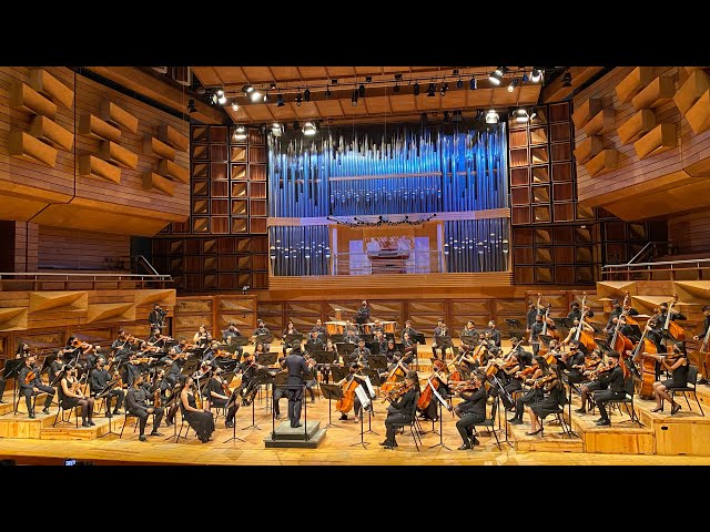 Enluis Montes Olivar conducts Danzón No. 8 | Juan Jose Landaeta Symphony Orchestra.