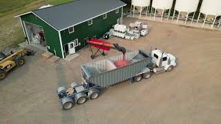 Tadeus fall triticale