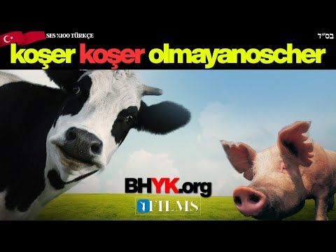 Koşer Olmayan Yemeklerin Etkileri | BH FILMS