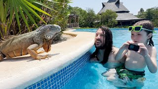 CRAZY POOLS and NEW ANiMALS in MEXiCO!! Family Vacation visiting Cancun with Mom Adley Niko & Navey