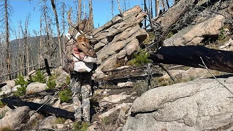 🔥 MONTANA ~ THE BURN BULL 🔥