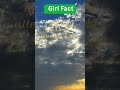 Girl Fact 👧📚 | Why Girls Often Excel in School